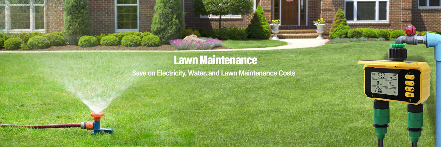 Lawn Maintenance