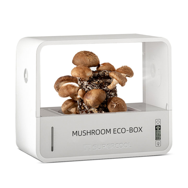 Smart Indoor Mushroom Grow Box with Humidity & Temp Control – Yieryi Meter
